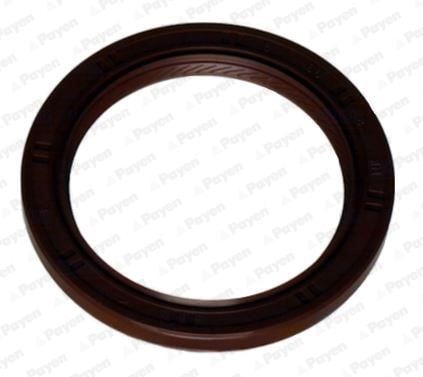 Payen NA5319 Oil seal crankshaft front NA5319: Buy near me at 2407.PL in Poland at an Affordable price!