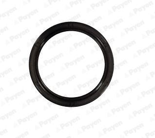 Payen NA5492 Crankshaft oil seal NA5492: Buy near me at 2407.PL in Poland at an Affordable price!