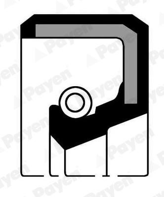 Payen NF470 Oil seal NF470: Buy near me in Poland at 2407.PL - Good price!