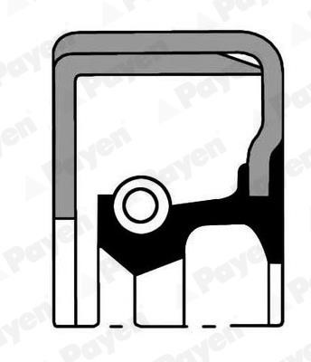 Payen NJ062 Oil seal NJ062: Buy near me in Poland at 2407.PL - Good price!