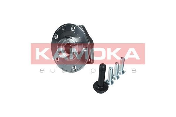 Kamoka 5500171 Wheel hub with front bearing 5500171: Buy near me in Poland at 2407.PL - Good price!