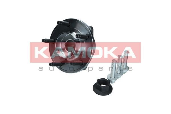 Kamoka 5500199 Wheel hub with front bearing 5500199: Buy near me in Poland at 2407.PL - Good price!
