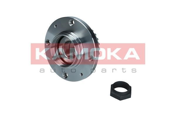 Kamoka 5500205 Rear Wheel Bearing Kit 5500205: Buy near me in Poland at 2407.PL - Good price!