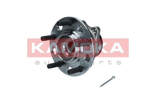 Kamoka 5500209 Wheel hub with rear bearing 5500209: Buy near me in Poland at 2407.PL - Good price!