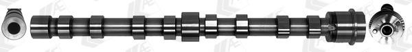 AE CAM1026 Camshaft CAM1026: Buy near me in Poland at 2407.PL - Good price!