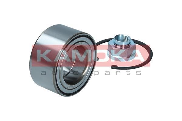 Front Wheel Bearing Kit Kamoka 5600203