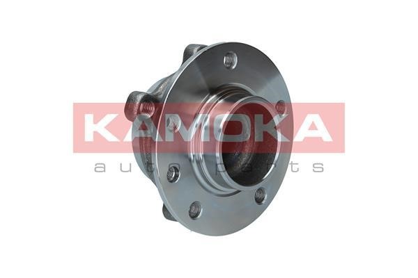 Kamoka 5500226 Rear Wheel Bearing Kit 5500226: Buy near me in Poland at 2407.PL - Good price!