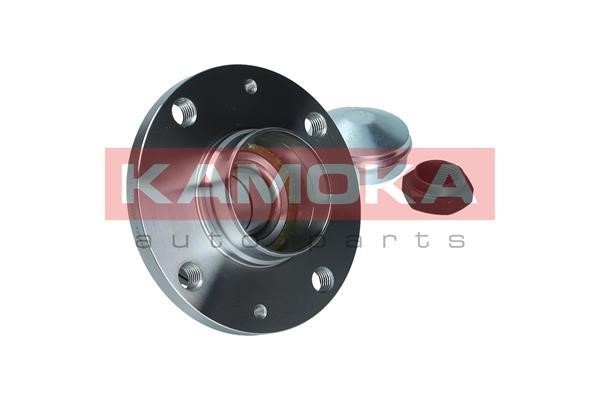 Rear Wheel Bearing Kit Kamoka 5500233