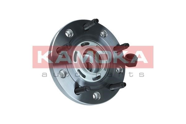 Kamoka 5500249 Wheel hub with rear bearing 5500249: Buy near me in Poland at 2407.PL - Good price!