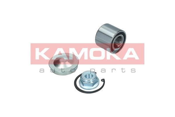 Front Wheel Bearing Kit Kamoka 5600099