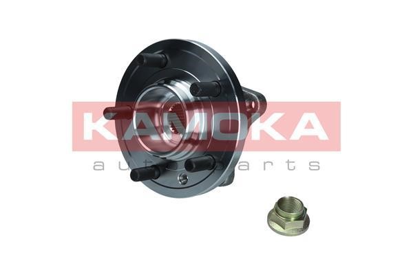 Kamoka 5500291 Wheel hub with front bearing 5500291: Buy near me in Poland at 2407.PL - Good price!