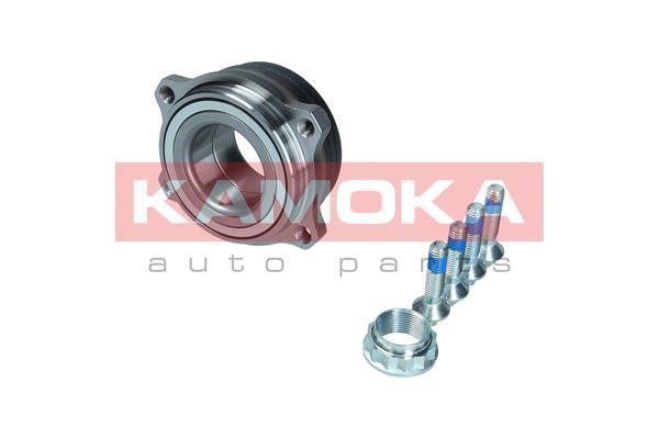 Kamoka 5500301 Rear Wheel Bearing Kit 5500301: Buy near me in Poland at 2407.PL - Good price!