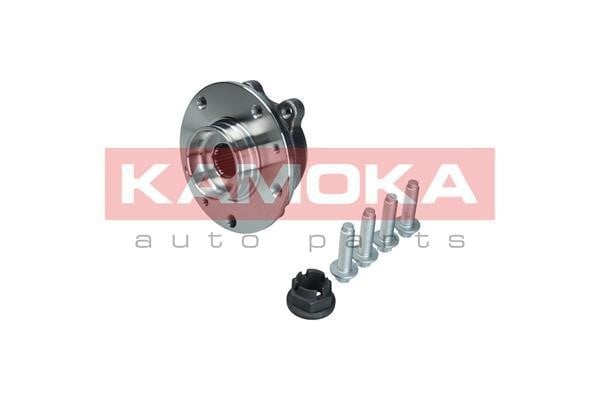 Kamoka 5500324 Wheel hub with front bearing 5500324: Buy near me in Poland at 2407.PL - Good price!