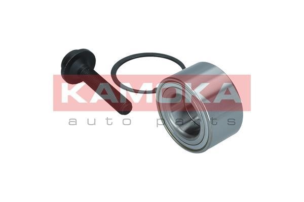 Front Wheel Bearing Kit Kamoka 5600105