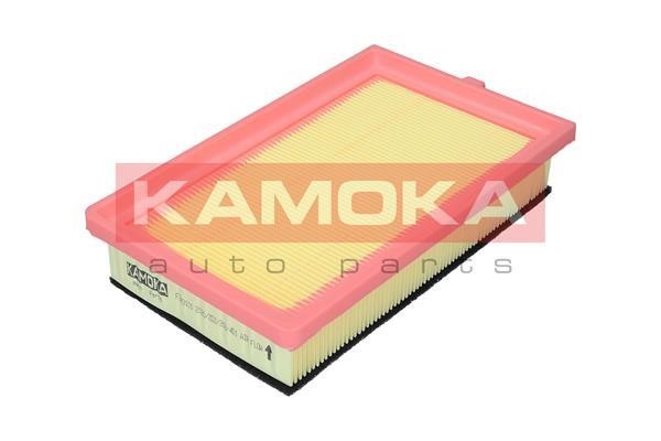 Kamoka F243101 Air filter F243101: Buy near me in Poland at 2407.PL - Good price!