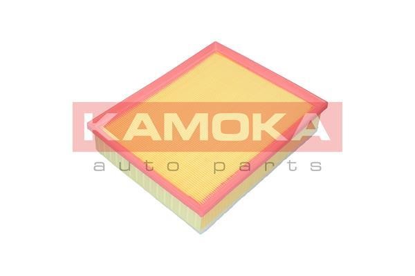 Kamoka F249301 Air filter F249301: Buy near me in Poland at 2407.PL - Good price!