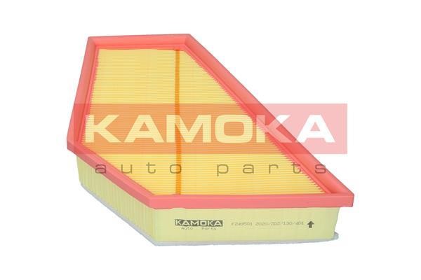 Kamoka F249501 Воздушный фильтр F249501: Купить в Польше - Отличная цена на 2407.PL!
