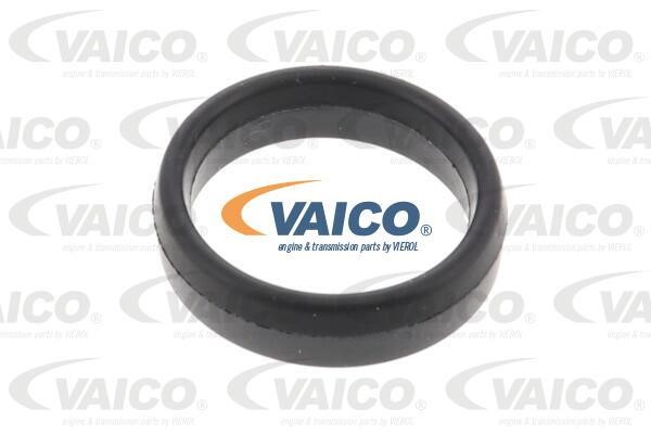 Buy Vaico V240998 – good price at 2407.PL!