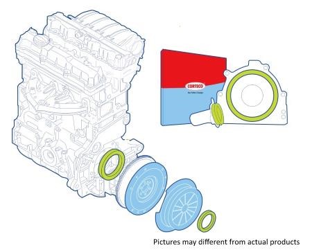 Corteco 19135318 Gearbox oil seal 19135318: Buy near me in Poland at 2407.PL - Good price!