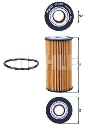 Mahle/Perfect circle OX 1267D Oil Filter OX1267D: Buy near me in Poland at 2407.PL - Good price!