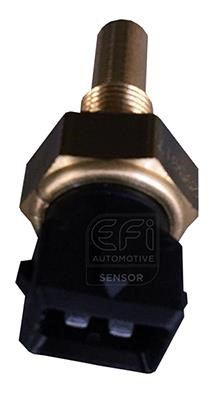 EFI AUTOMOTIVE 295017 Датчик, температура охлаждающей жидкости 295017: Отличная цена - Купить в Польше на 2407.PL!