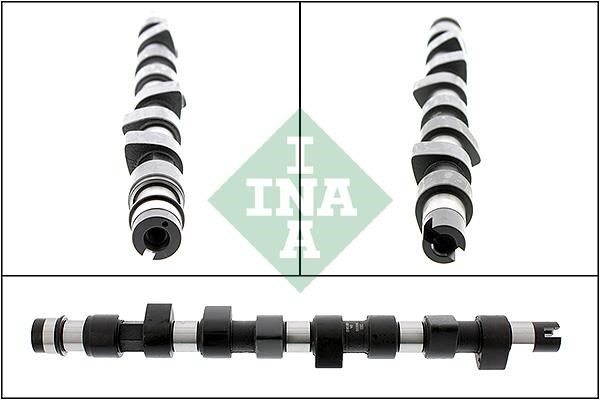 INA 428 0139 10 Camshaft 428013910: Buy near me in Poland at 2407.PL - Good price!