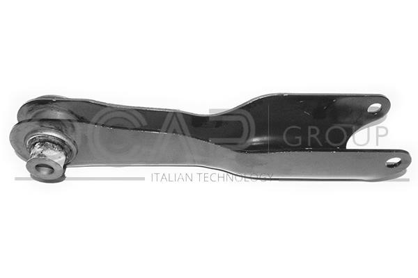 Ocap 0788870 Track Control Arm 0788870: Buy near me in Poland at 2407.PL - Good price!
