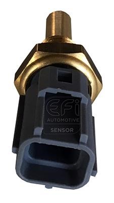 EFI AUTOMOTIVE 295052 Sensor, coolant temperature 295052: Buy near me at 2407.PL in Poland at an Affordable price!