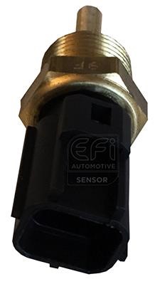 EFI AUTOMOTIVE 295062 Sensor, coolant temperature 295062: Buy near me in Poland at 2407.PL - Good price!
