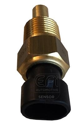 EFI AUTOMOTIVE 295069 Sensor, coolant temperature 295069: Buy near me at 2407.PL in Poland at an Affordable price!