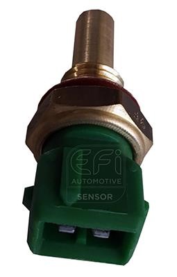 EFI AUTOMOTIVE 295076 Sensor, coolant temperature 295076: Buy near me at 2407.PL in Poland at an Affordable price!
