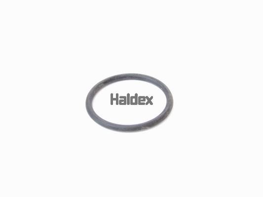 Haldex 024001709 O-Ring, cylinder sleeve 024001709: Buy near me at 2407.PL in Poland at an Affordable price!