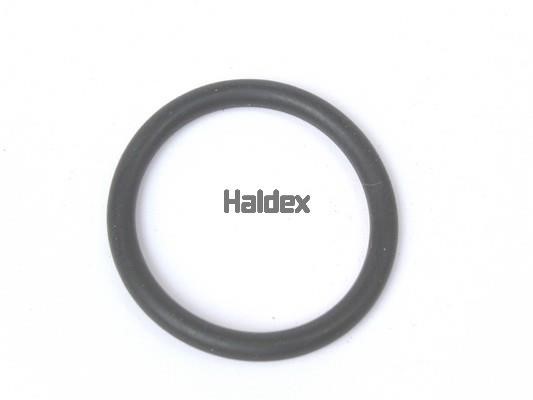 Haldex 024002909 O-Ring, cylinder sleeve 024002909: Buy near me at 2407.PL in Poland at an Affordable price!