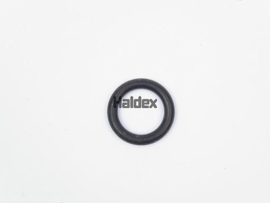 Haldex 024003009 O-Ring, cylinder sleeve 024003009: Buy near me in Poland at 2407.PL - Good price!