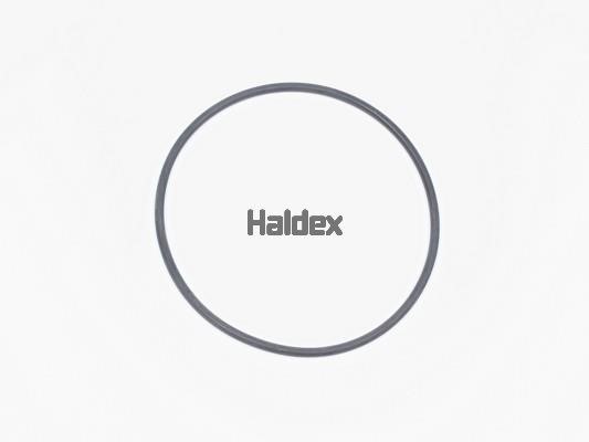 Haldex 024006109 O-Ring, cylinder sleeve 024006109: Buy near me at 2407.PL in Poland at an Affordable price!