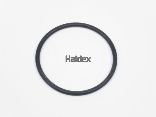 Haldex 024006709 O-Ring, cylinder sleeve 024006709: Buy near me at 2407.PL in Poland at an Affordable price!