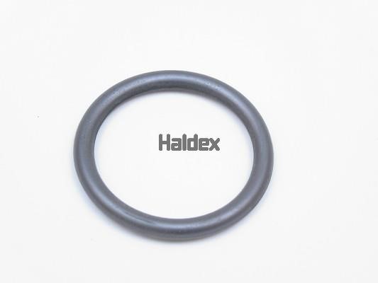Haldex 024007409 O-Ring, cylinder sleeve 024007409: Buy near me in Poland at 2407.PL - Good price!