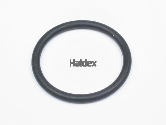 Haldex 024007909 O-Ring, cylinder sleeve 024007909: Buy near me in Poland at 2407.PL - Good price!