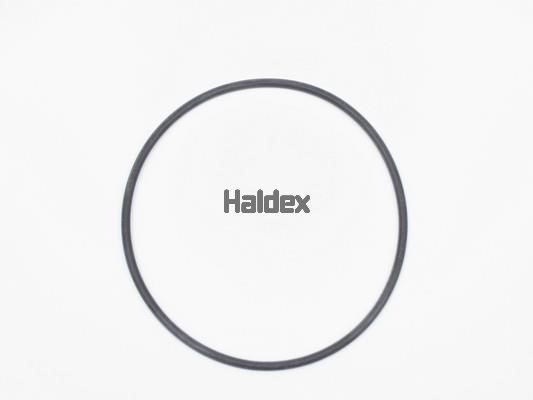 Haldex 024009709 O-Ring, cylinder sleeve 024009709: Buy near me in Poland at 2407.PL - Good price!