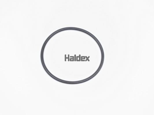 Haldex 024010309 O-Ring, cylinder sleeve 024010309: Buy near me in Poland at 2407.PL - Good price!