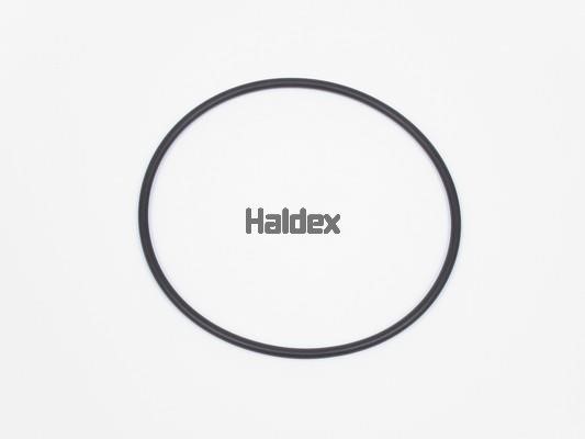 Haldex 024014509 O-Ring, cylinder sleeve 024014509: Buy near me at 2407.PL in Poland at an Affordable price!