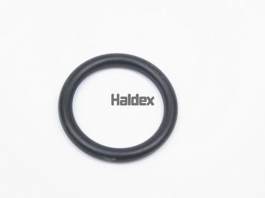 Haldex 024017209 O-Ring, cylinder sleeve 024017209: Buy near me at 2407.PL in Poland at an Affordable price!