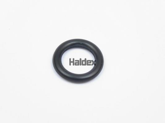 Haldex 024018709 O-Ring, cylinder sleeve 024018709: Buy near me in Poland at 2407.PL - Good price!