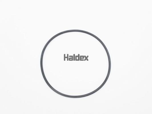 Haldex 024020909 O-Ring, cylinder sleeve 024020909: Buy near me at 2407.PL in Poland at an Affordable price!
