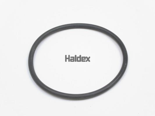 Haldex 024030109 O-Ring, cylinder sleeve 024030109: Buy near me in Poland at 2407.PL - Good price!