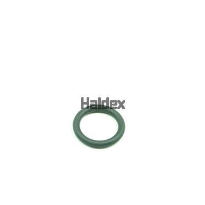 Haldex 024032319 O-Ring, cylinder sleeve 024032319: Buy near me in Poland at 2407.PL - Good price!