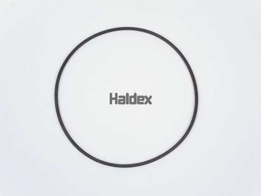 Haldex 024032809 O-Ring, cylinder sleeve 024032809: Buy near me in Poland at 2407.PL - Good price!