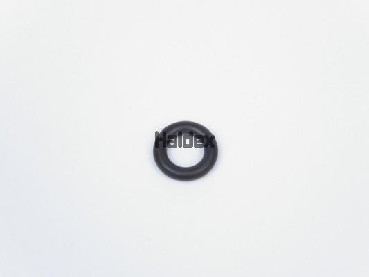 Haldex 024055209 O-Ring, cylinder sleeve 024055209: Buy near me in Poland at 2407.PL - Good price!