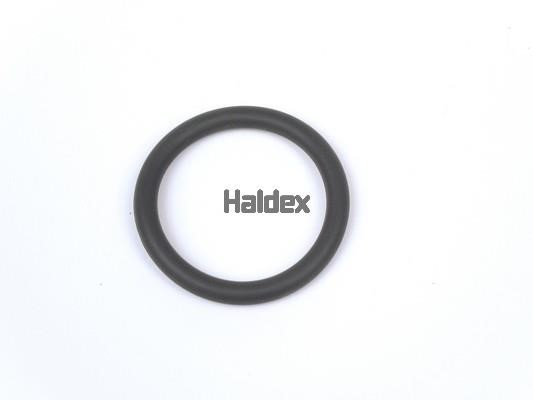 Haldex 024500309 O-Ring, cylinder sleeve 024500309: Buy near me in Poland at 2407.PL - Good price!