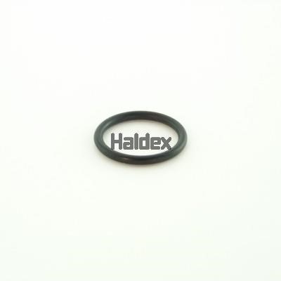 Haldex 032OR13 O-Ring, cylinder sleeve 032OR13: Buy near me in Poland at 2407.PL - Good price!